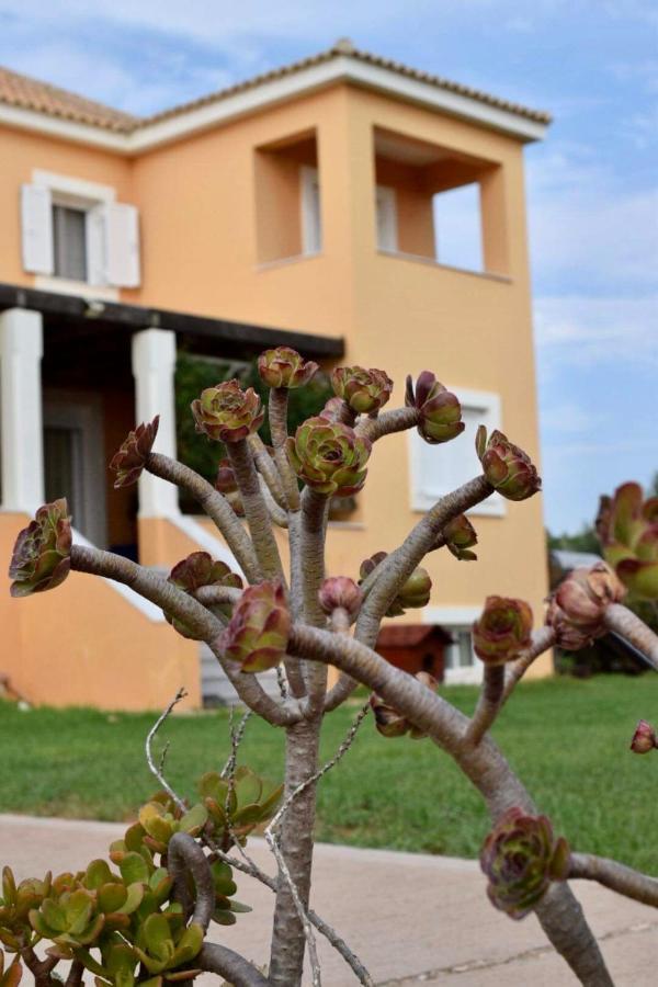 Boutique Hotel Ileas Village 아르쿠디 외부 사진
