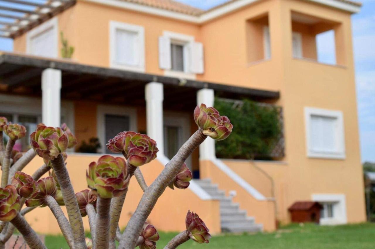 Boutique Hotel Ileas Village 아르쿠디 외부 사진